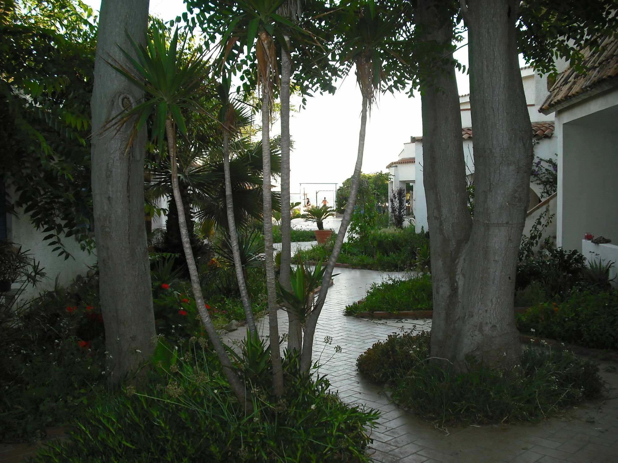 Regent Beach Hotel & Apartments เรจโจ ดี คาลาเบีย ภายนอก รูปภาพ